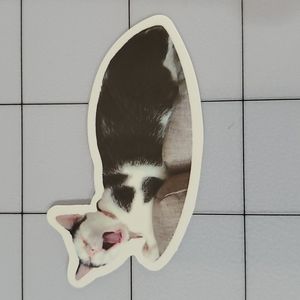 CAT Sticker